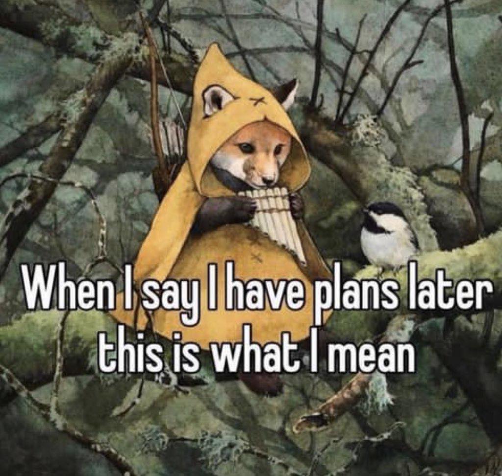 This meme features a cartoon fox in a yellow raincoat and hat, playing a tiny piano while sitting in a tree. The text "When I plan things" appears above the fox, while the text "When I actually do them" appears below. The image is humorous because it shows a fox's failed attempt to play a piano in a tree, implying that the fox's plans are not going as expected.